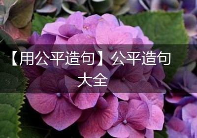 【用公平造句】公平造句大全