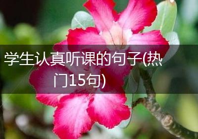 学生认真听课的句子(热门15句)
