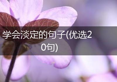 学会淡定的句子(优选20句)