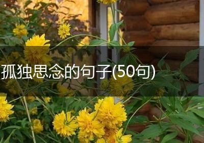 孤独思念的句子(50句)