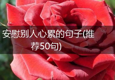 安慰别人心累的句子(推荐50句)