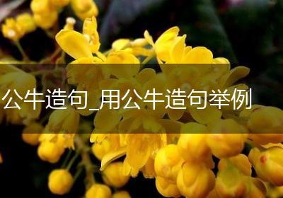 公牛造句_用公牛造句举例