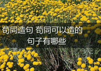 苟同造句 苟同可以造的句子有哪些