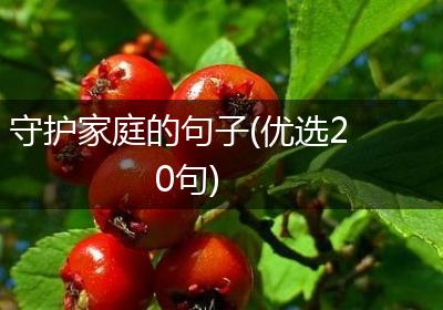 守护家庭的句子(优选20句)