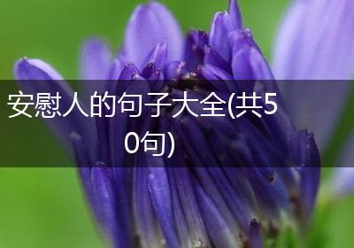 安慰人的句子大全(共50句)