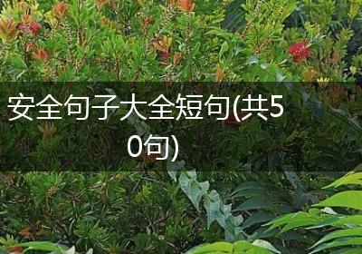 安全句子大全短句(共50句)