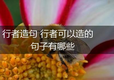 行者造句 行者可以造的句子有哪些