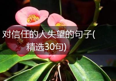 对信任的人失望的句子(精选30句)