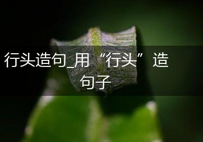 行头造句_用“行头”造句子