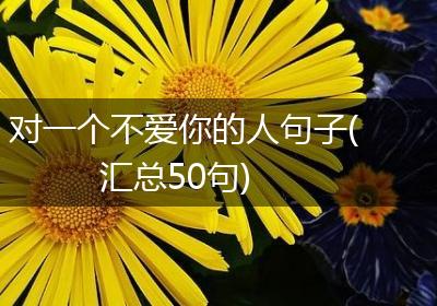 对一个不爱你的人句子(汇总50句)