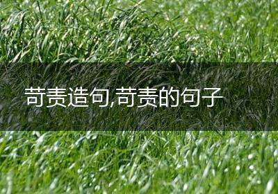 苛责造句,苛责的句子
