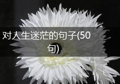 对人生迷茫的句子(50句)