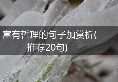富有哲理的句子加赏析(推荐20句)