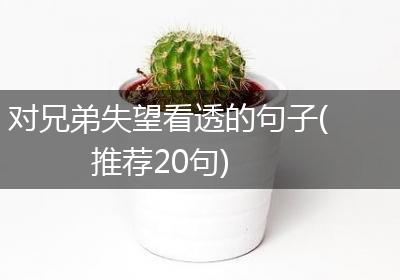 对兄弟失望看透的句子(推荐20句)