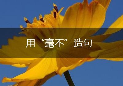 用“毫不”造句