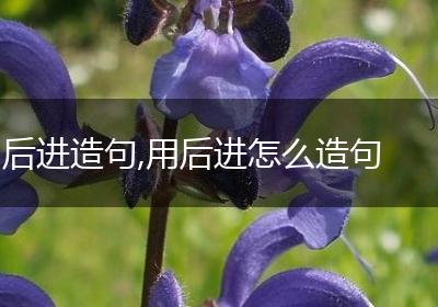 后进造句,用后进怎么造句