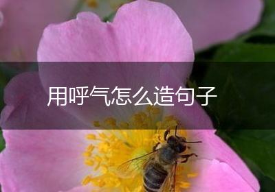用呼气怎么造句子