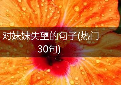 对妹妹失望的句子(热门30句)
