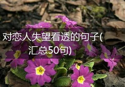 对恋人失望看透的句子(汇总50句)