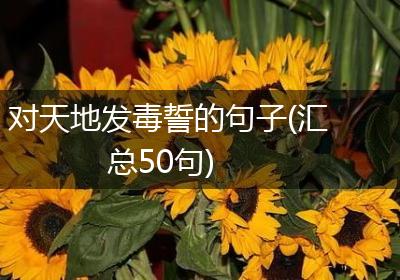 对天地发毒誓的句子(汇总50句)