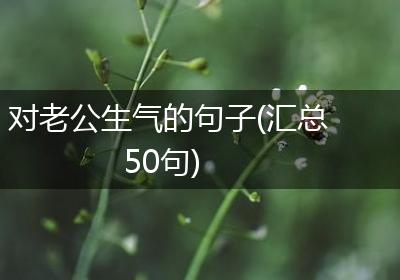 对老公生气的句子(汇总50句)