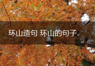 环山造句 环山的句子