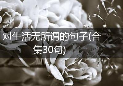 对生活无所谓的句子(合集30句)