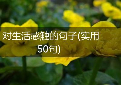对生活感触的句子(实用50句)