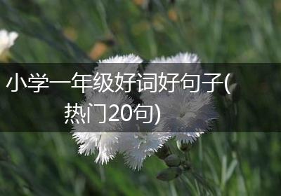 小学一年级好词好句子(热门20句)