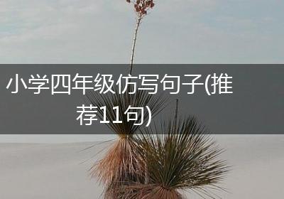小学四年级仿写句子(推荐11句)