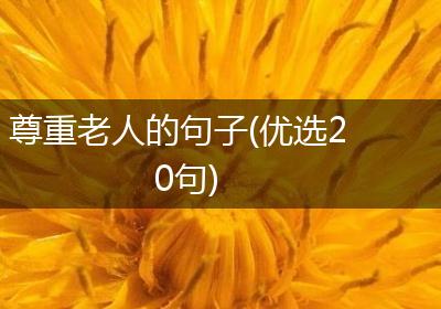尊重老人的句子(优选20句)