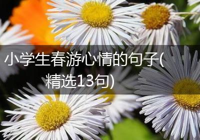 小学生春游心情的句子(精选13句)