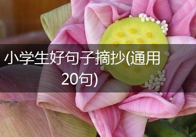 小学生好句子摘抄(通用20句)
