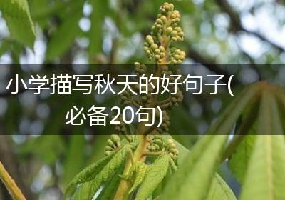 小学描写秋天的好句子(必备20句)