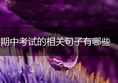 期中考试的相关句子有哪些