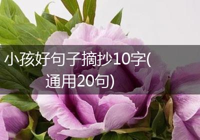 小孩好句子摘抄10字(通用20句)