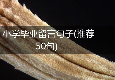 小学毕业留言句子(推荐50句)
