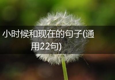 小时候和现在的句子(通用22句)