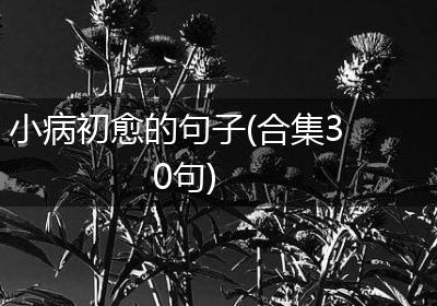 小病初愈的句子(合集30句)