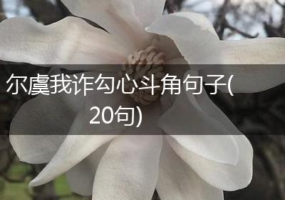 尔虞我诈勾心斗角句子(20句)