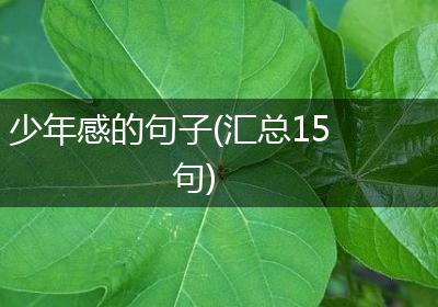 少年感的句子(汇总15句)