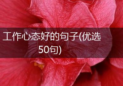 工作心态好的句子(优选50句)