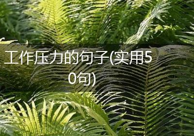 工作压力的句子(实用50句)