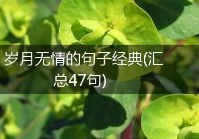 岁月无情的句子经典(汇总47句)