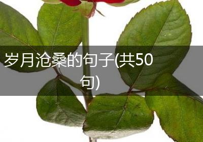 岁月沧桑的句子(共50句)