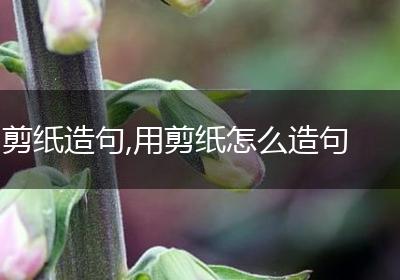 剪纸造句,用剪纸怎么造句