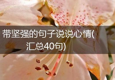 带坚强的句子说说心情(汇总40句)