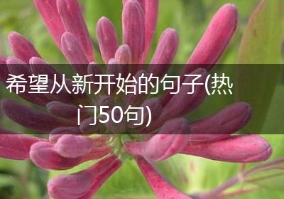 希望从新开始的句子(热门50句)