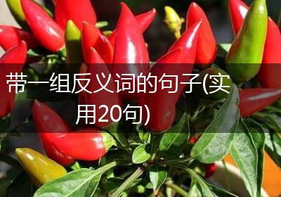 带一组反义词的句子(实用20句)