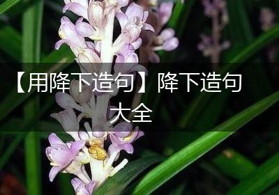 【用降下造句】降下造句大全